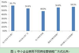 北京中小企業(yè)網(wǎng)站推廣的策略與價(jià)值——基于CNNIC互聯(lián)網(wǎng)研究的啟示